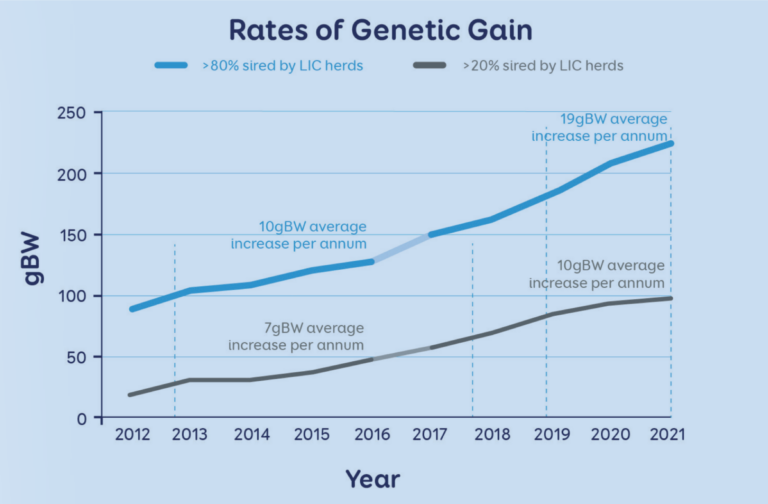 LIC rates of genetic gain