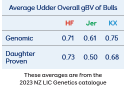 Avg udder overall of bulls