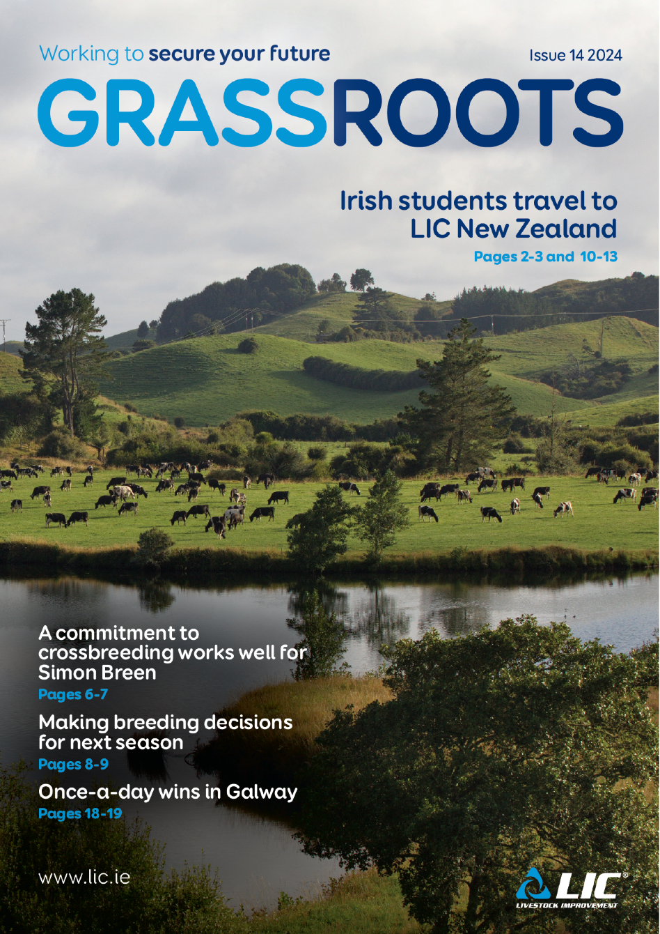 LIC Ireland GrassRoots