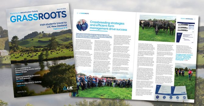GrassRoots web banner